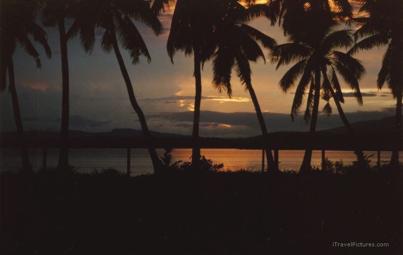 Viti Levu palm trees tree sunrise